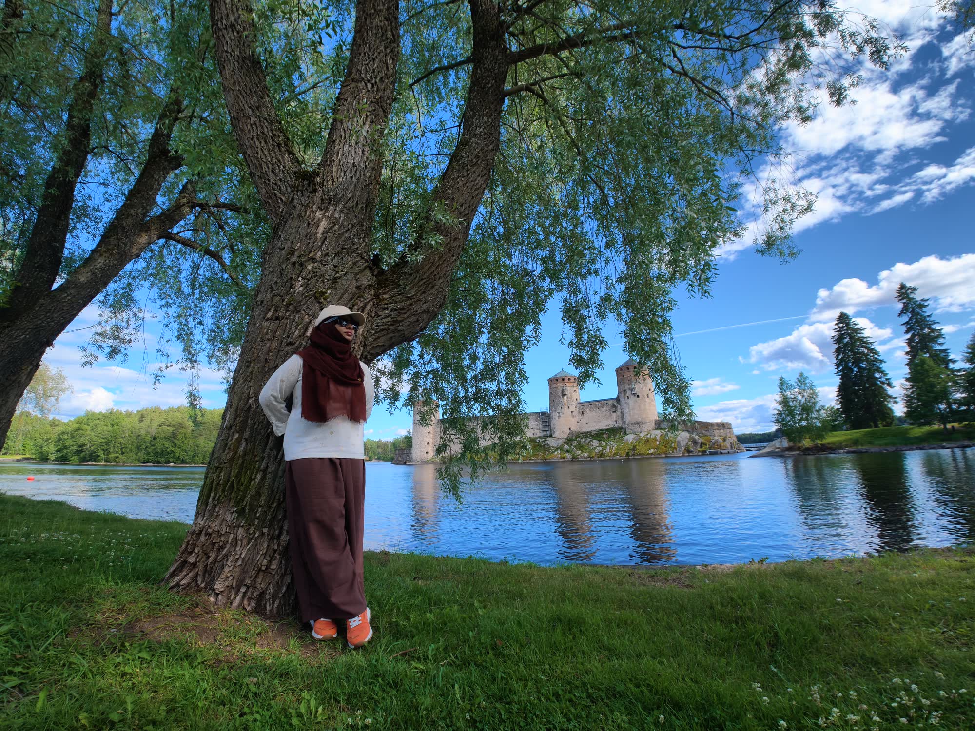Castle under the willow — Riihisaari